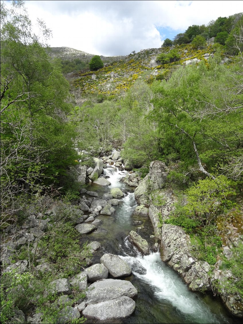 Au col avant le Pont de Montvert.