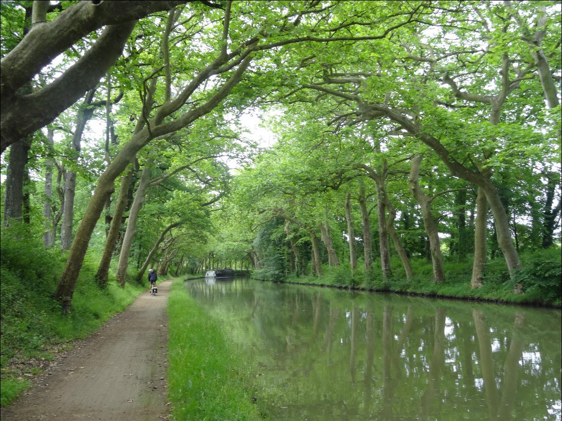 Le canal du midi