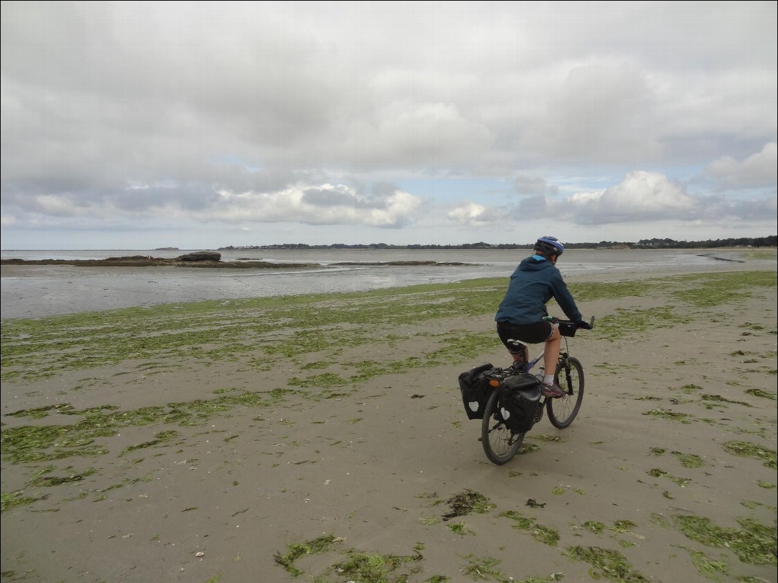 Vélo sur le sable mouillé
