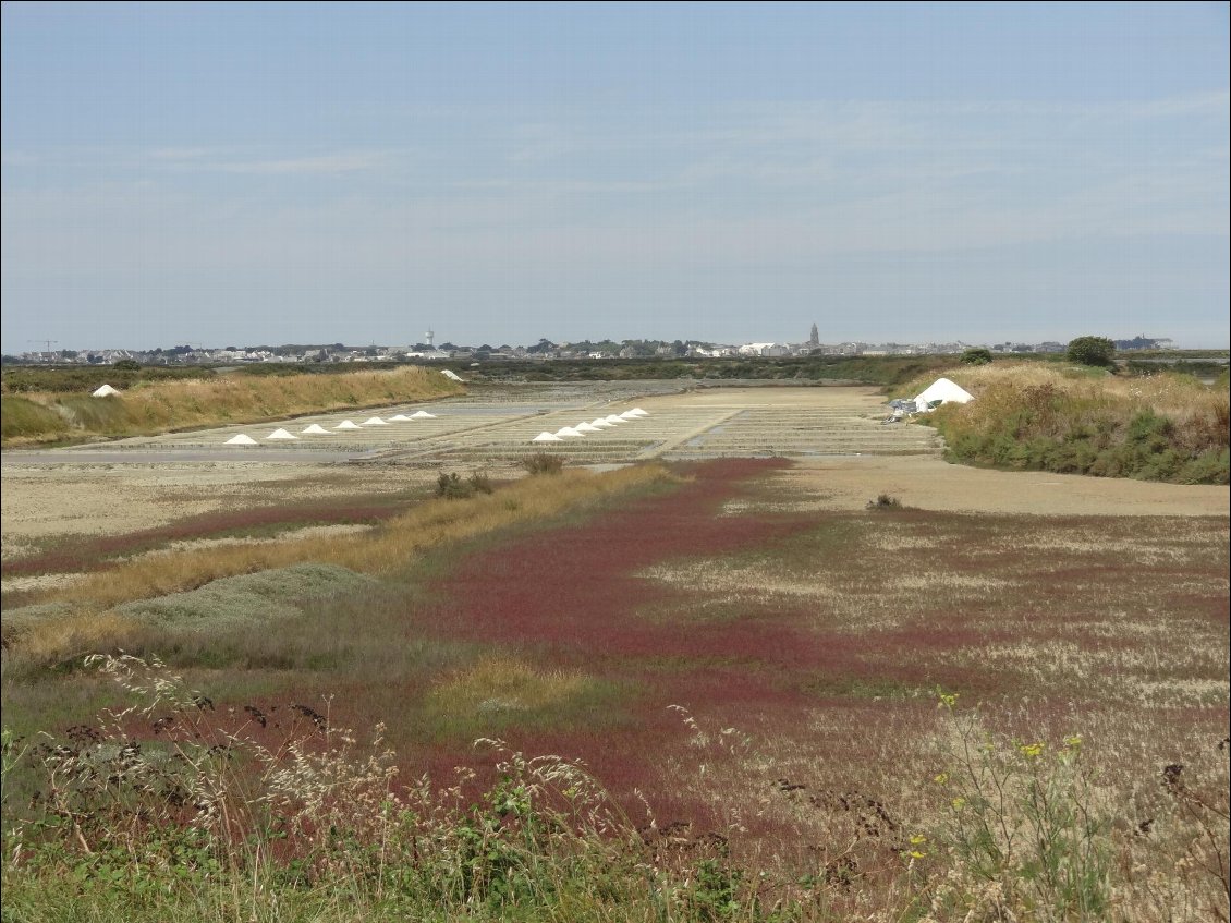 Les marais salants de Guérande