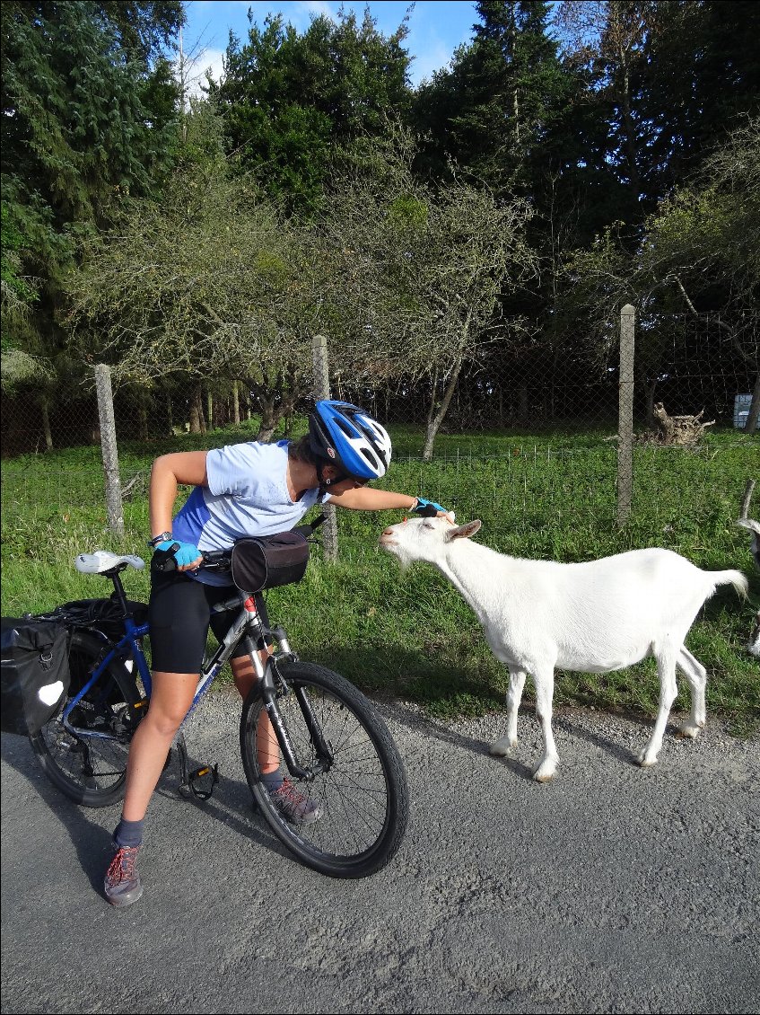 Une rencontre agréable dès le matin. .