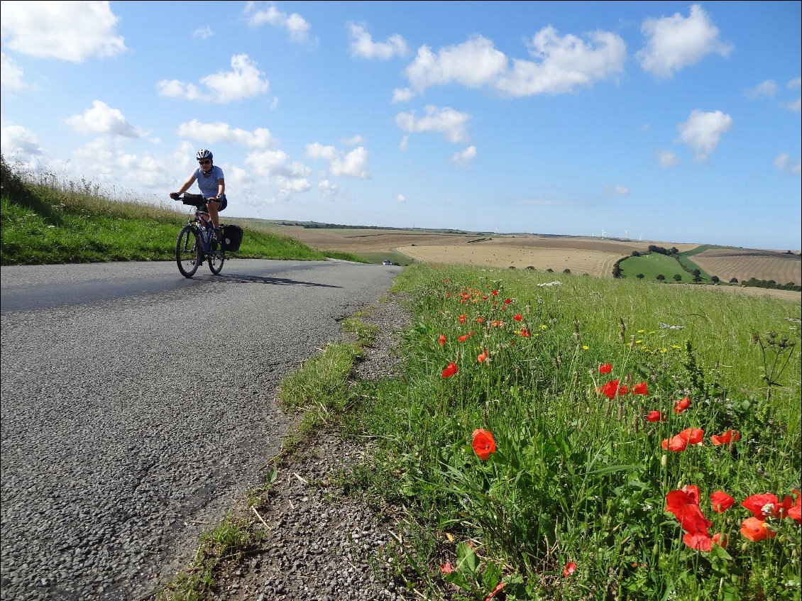 Le Nord Pas de Calais, pas si vilain ?