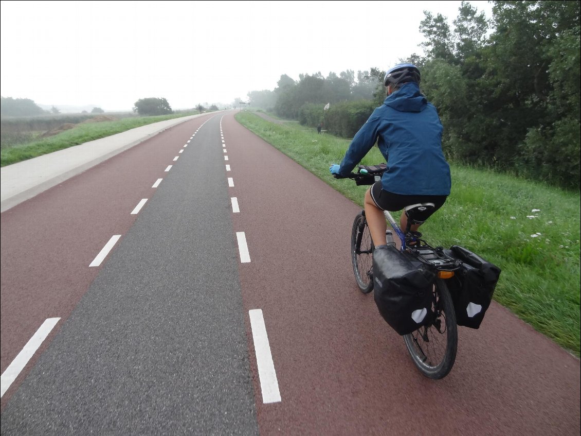 Priorité aux vélos, les voiture s'adaptent.