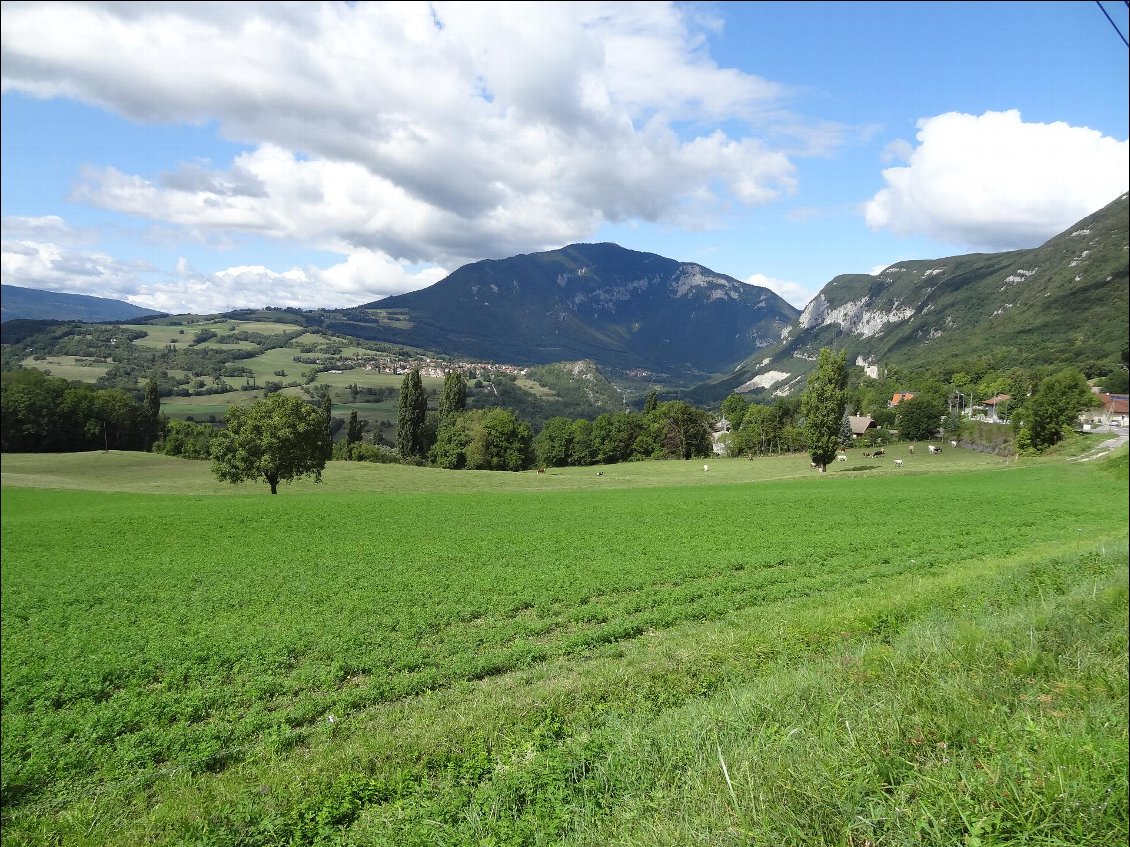 La vallée du Rhône