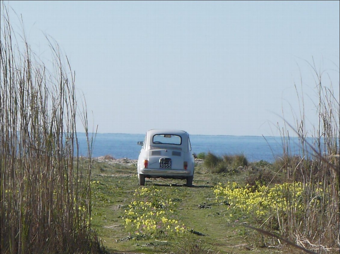 un amour de fiat 500