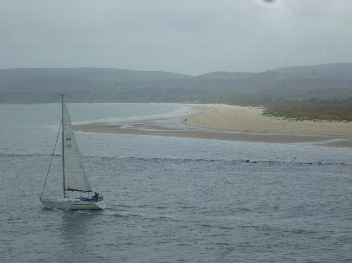 Les plages de sable blanc de Studland.