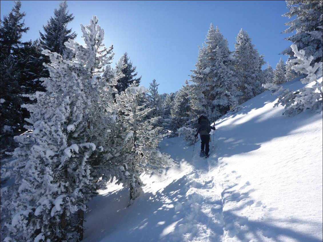 Nous gagnons le plateau par le Pas de l'Essaure. La neige fraîche est de plus en plus légère avec l'altitude.