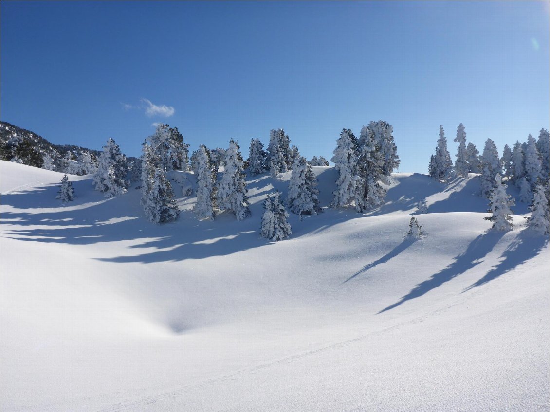 Divagation hivernale sur les Hauts Plateaux du Vercors