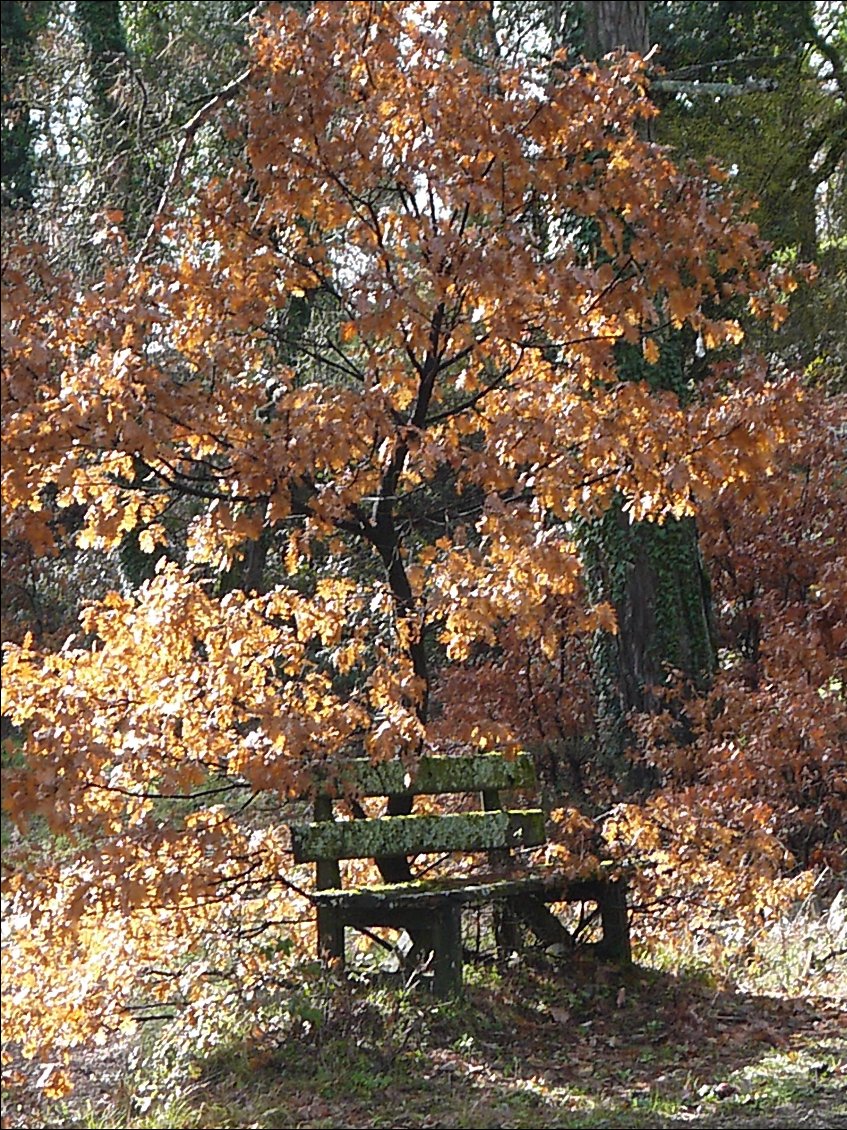 Automne ou printemps?