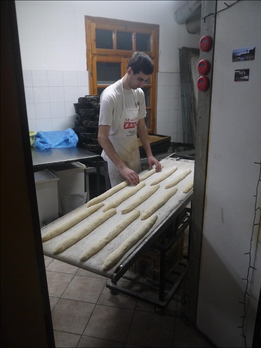 Niko et Nico au boulot a 6h du mat'