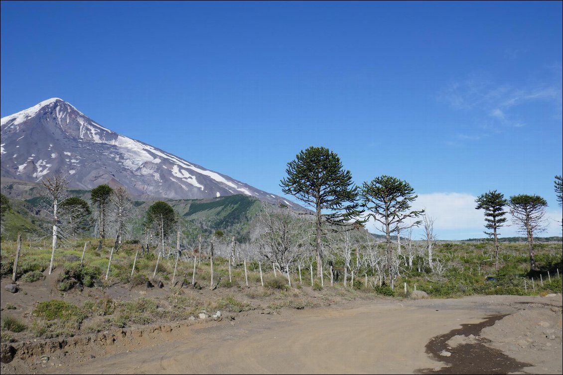 Les derniers km de piste vers le paso Mamuil-Malal