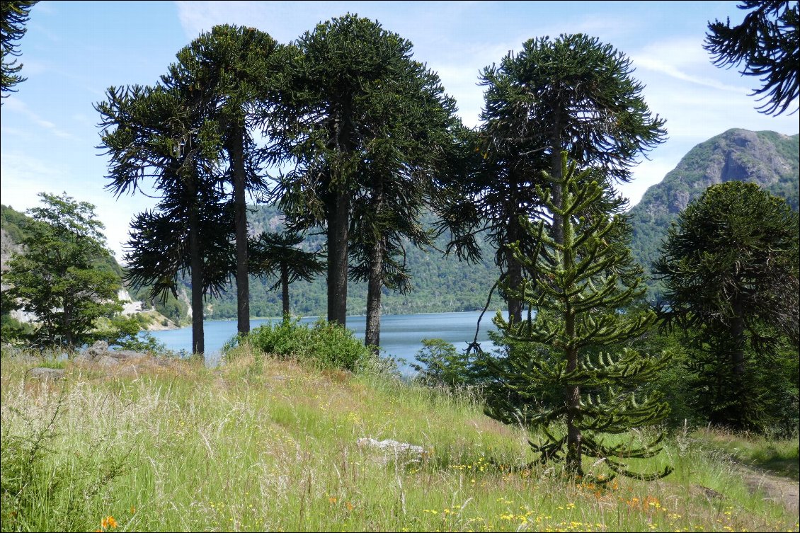 Lac Quillelhue