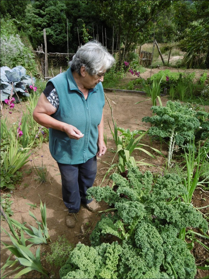 Visite du jardin.