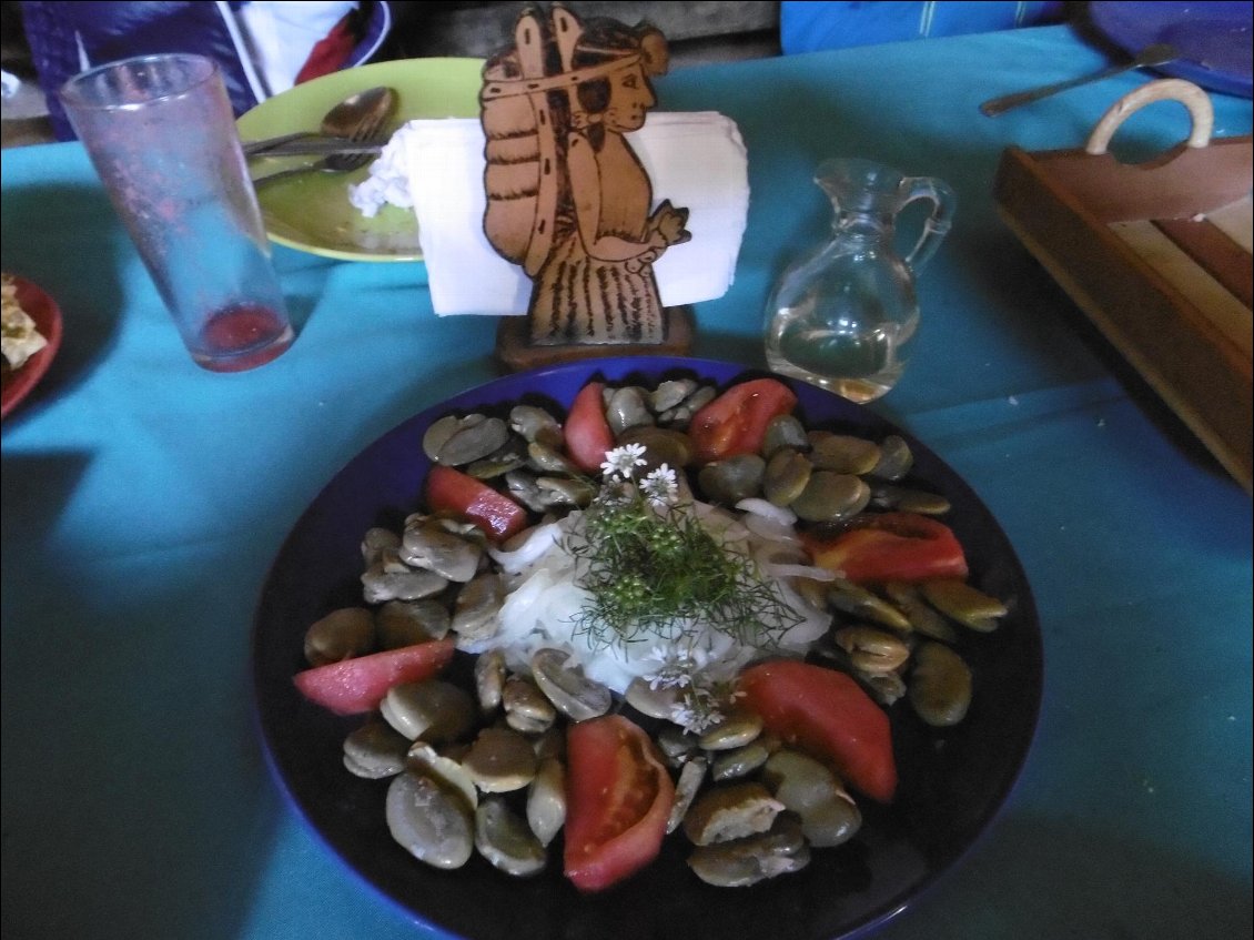 Salade mapuche