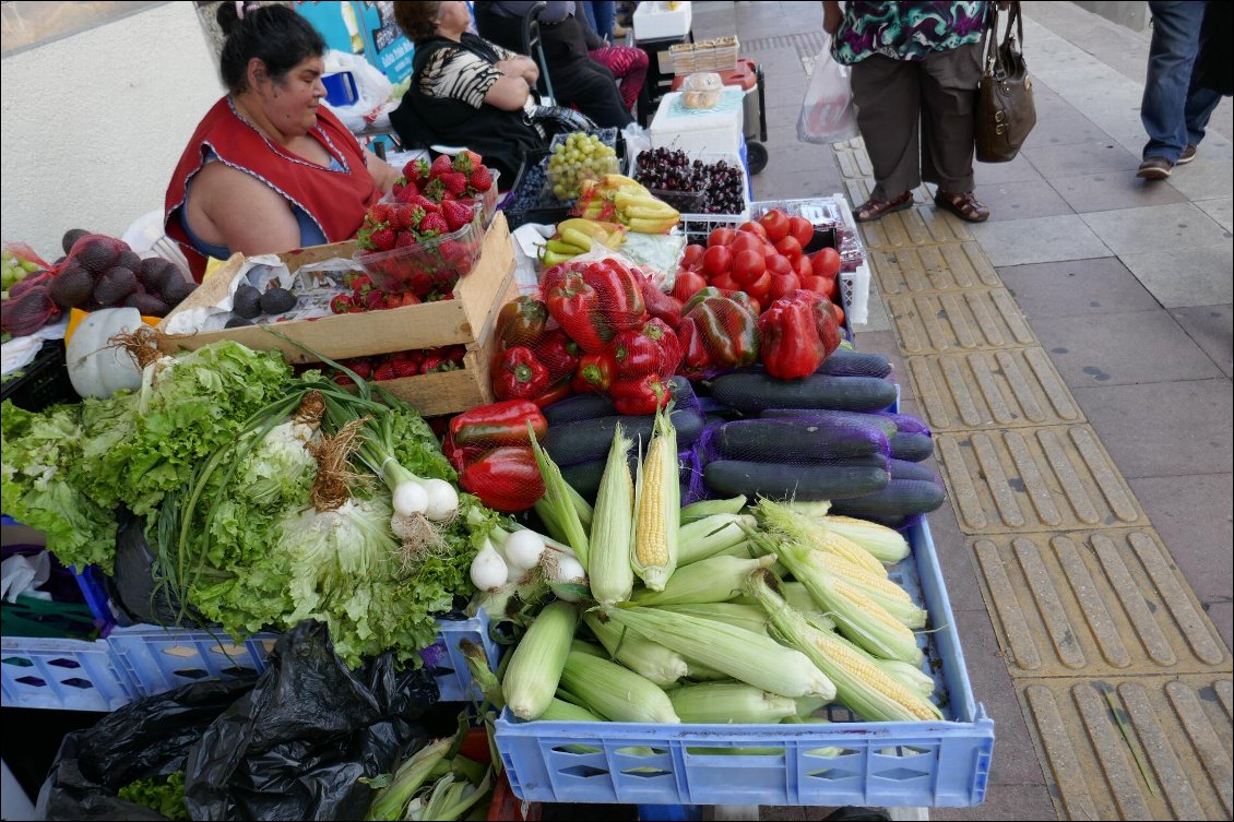 Petit marché aux légumes, Puerto Montt