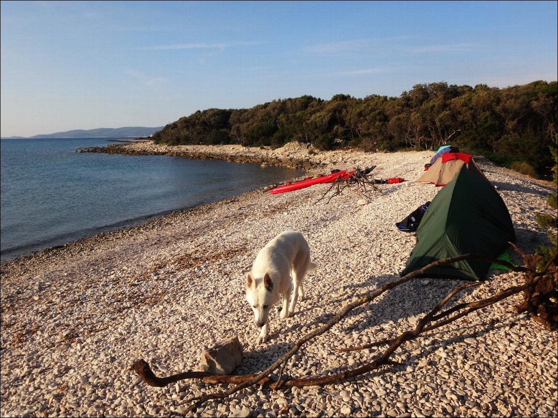 Bivouac sur Cres.
Au premier plan : Joon, le berger blanc suisse kayakiste :-).
Photo et participants : Anne Iotz, Alex, Noé et Hugo de Viveiros, et Joon !