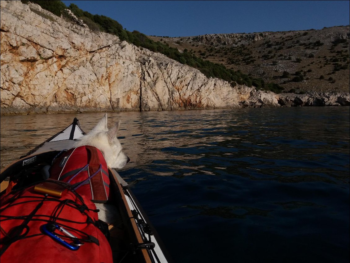 Nous avons installé une bache de protection à l'avant du bateau. Le chien repose sur le sac de croquettes pour le caler au mieux. Il porte constamment son gilet de flottaison.