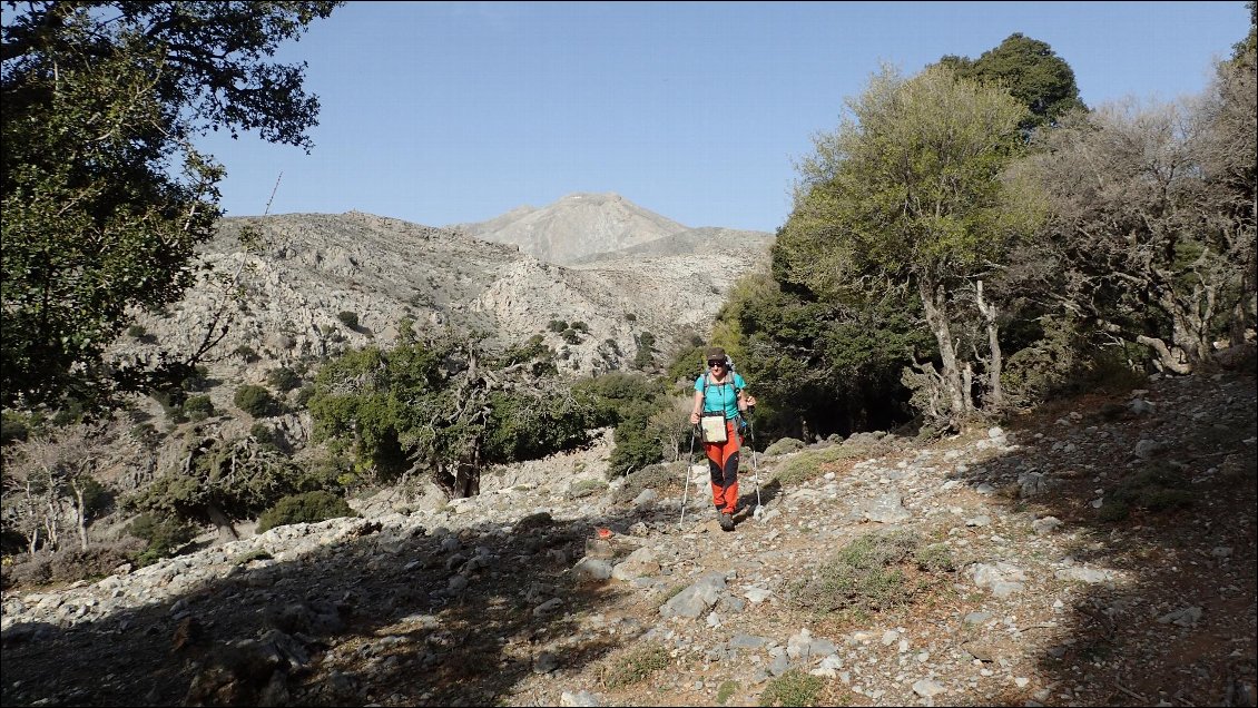 Descente vers Selakano