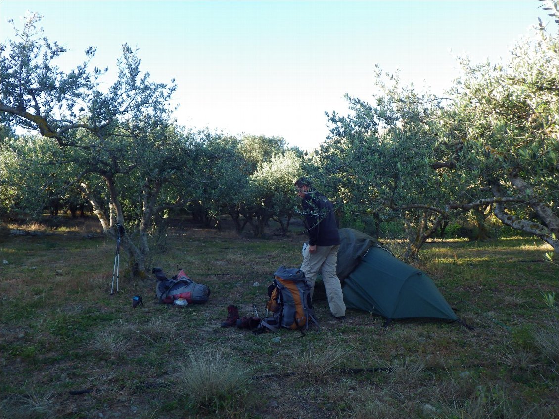 Bivouac dans une oliveraie à Etia