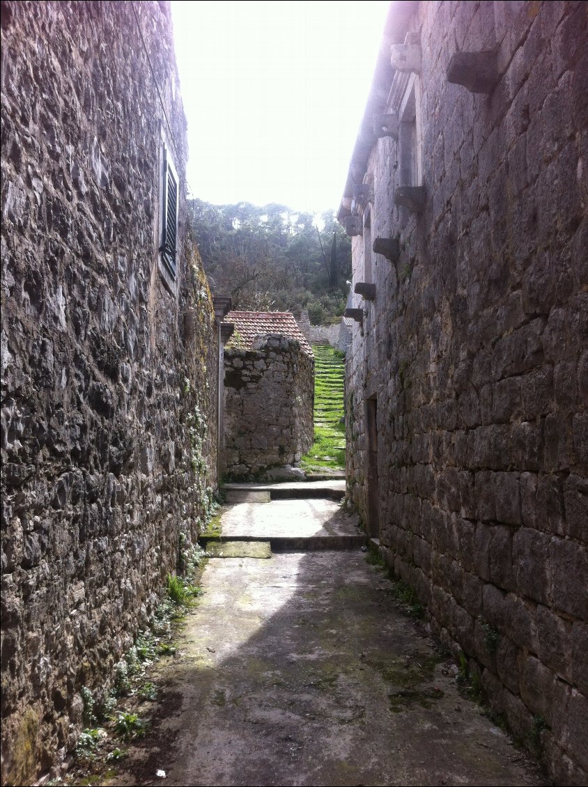 Potomej