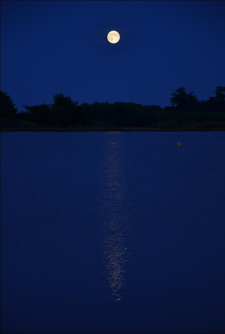Reflet de pleine lune sur les rives de la Ria d’Etel (Saint-Cado, Morbihan).
Photo : Sylvain Mariette