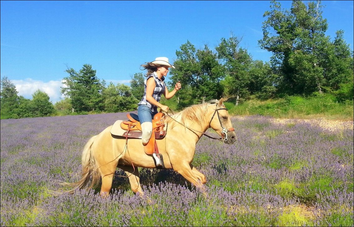 Handidream : tour de France à cheval