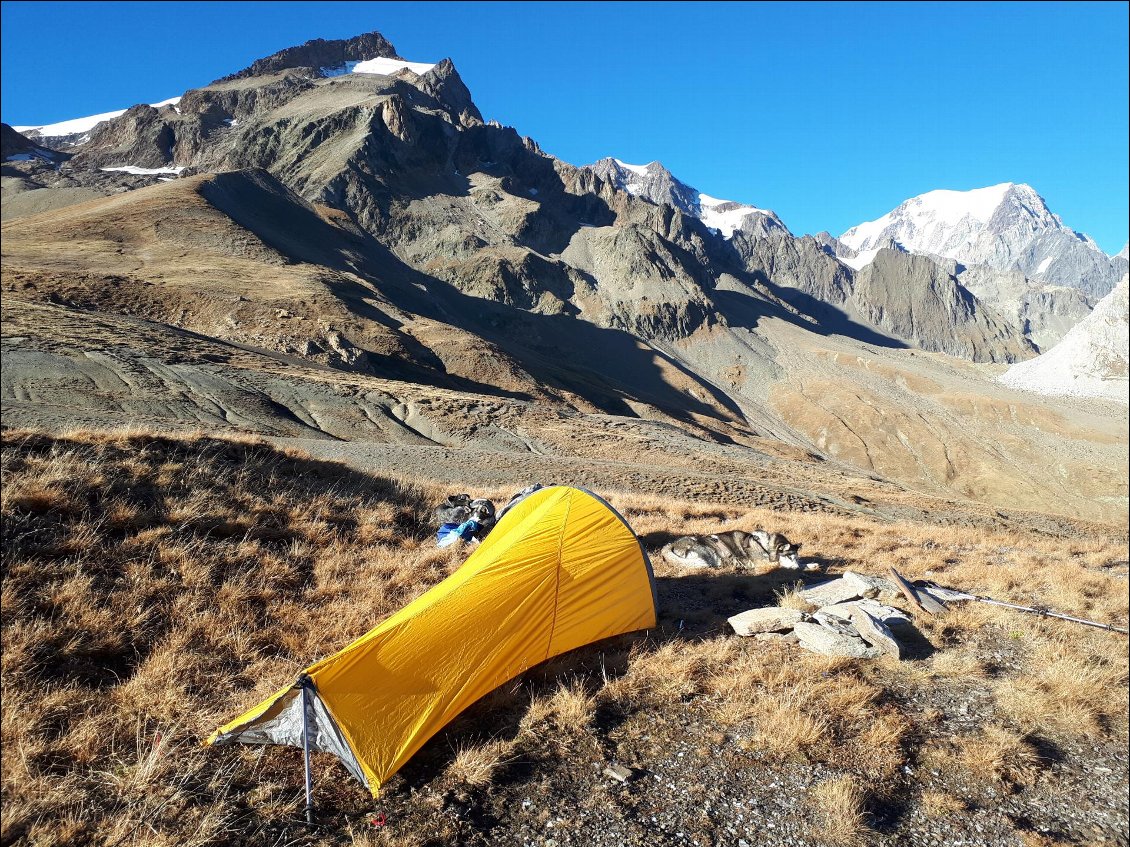 31# Pascale GIUDICELLI.
Bivouac le 14 et 15 octobre 2017 au col de la Seigne.
Un dernier week-end « estival » avant d’attaquer l’hiver et la neige qui a fait son apparition rapidement après. Parti du col du Petit Saint Bernard pour rejoindre le col des Chavannes et bivouac au col de la Seigne. Le lendemain, passage du col de l’Ouillon et celui de la Forclaz pour basculer sur le col du Petit Saint Bernard.
Le tout accompagnée de mes 2 huskys. Un régal pour le corps et les yeux !