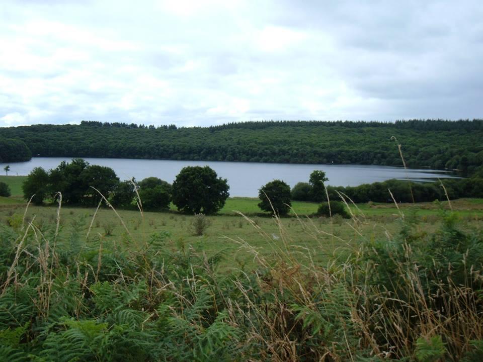 Lac de Gerlédan