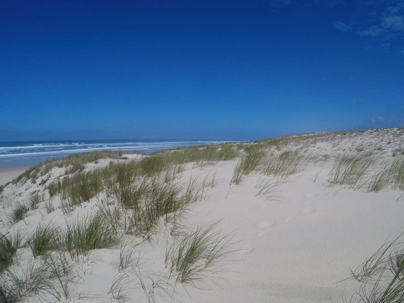 Océan et dune