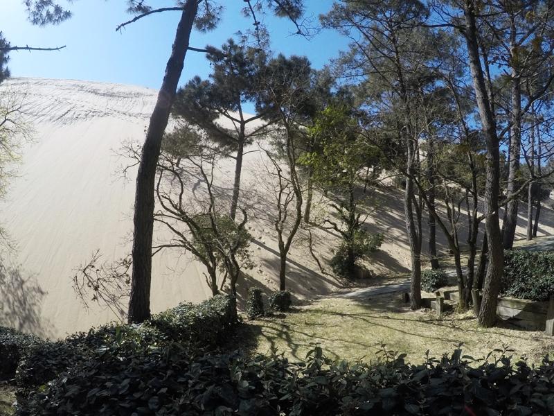 La Dune depuis la tente !