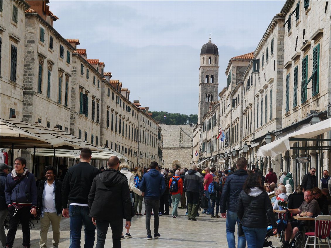 il y a foule a dubrovnik, fuyons...