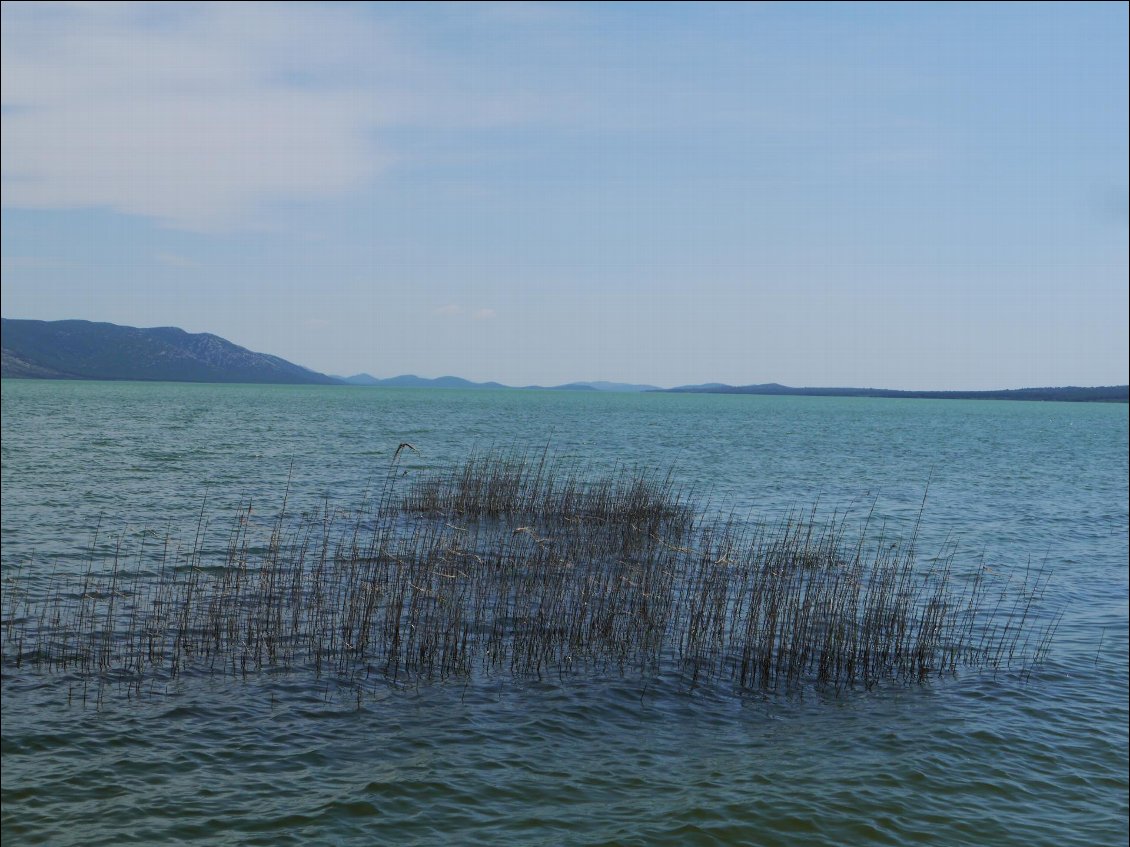 le lac vransko et sa reserve ornitho