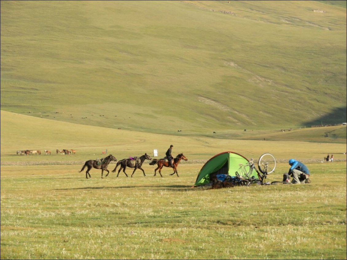 8# Cécile LE BLAN.
Lac Song Kul au Kirghizistan - 2017.
Après 10 jours de vélo sur des pistes pas toujours en bon état, souvent raides, toujours magnifiques, quel joie d'arriver enfin à ce fameux lac dont on a tant entendu les mérites. Il y a du vent, le ciel est gris mais qu'est ce que c'est beau ! On plante la tente près d'un camp de yourtes et pendant que je vais me balader près du lac, Edouard s'attelle à l'entretien des vélos. Régulièrement, notre "terrain de camping" est traversé par des troupeaux gigantesques, par des enfants au triple galop sur des chevaux qui font deux fois leur taille. C'est sauvage, c'est beau, c'est simple, on est bien!