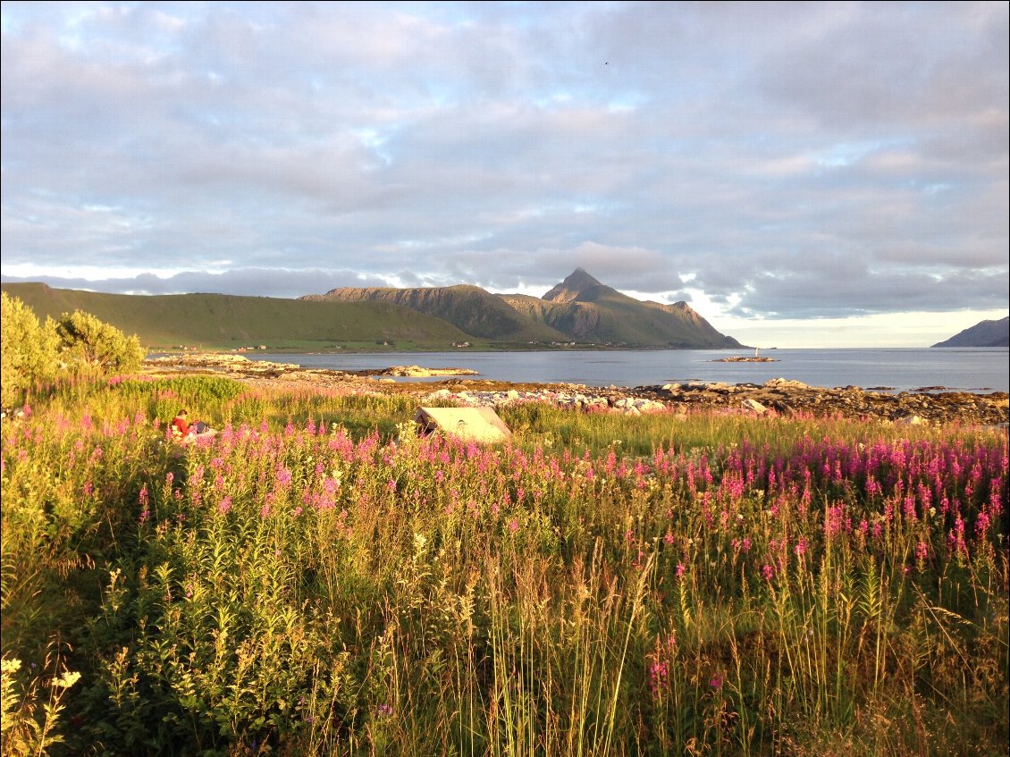 18# 2biscyclettes.
Comté de Nordland, Norvège - Septembre 2017.
Un joli bivouac après une baignade (très rapide) dans les eaux fraiches du fjord.