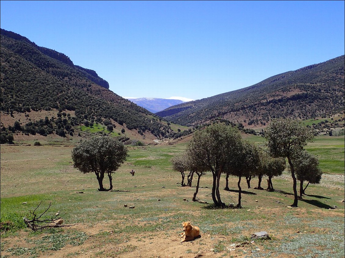 Nous arrivons à notre pause picnic. Abdou fera étendre un grand tapis et des matelas-mousse.