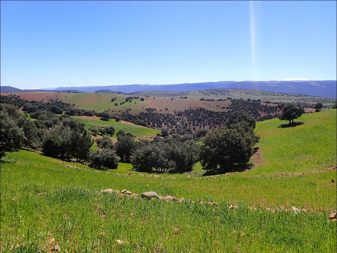 Où l'herbe et l'argile se disputent le paysage