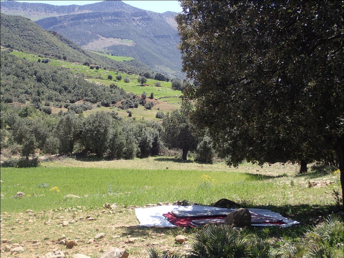 Les tentes montées, le repas avalé, ne nous reste plus qu'à farnienter à l'ombre d'un olivier...