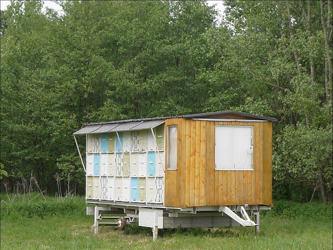 Une roulotte a ruches
