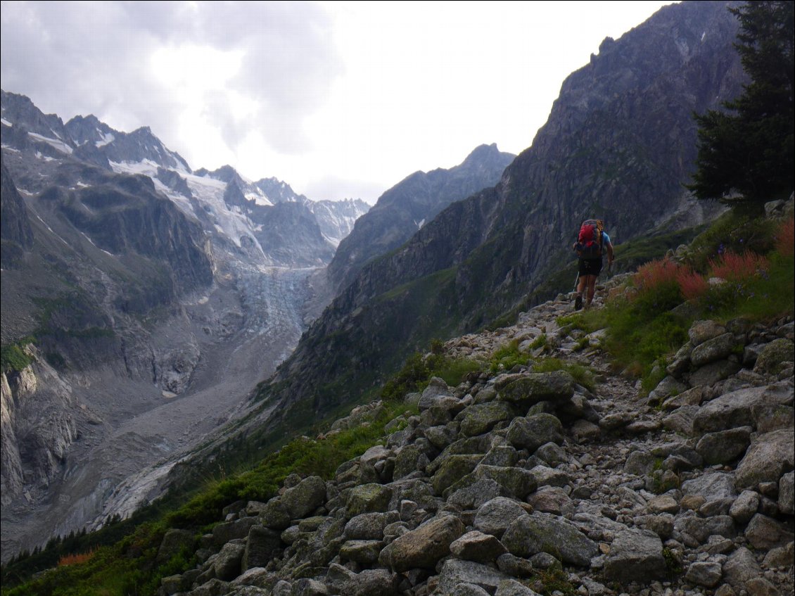 Montée dans la vallée du Trient