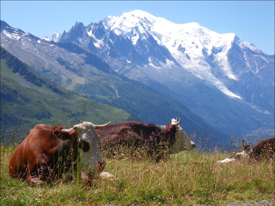 Le Mont Blanc au col de la Balme