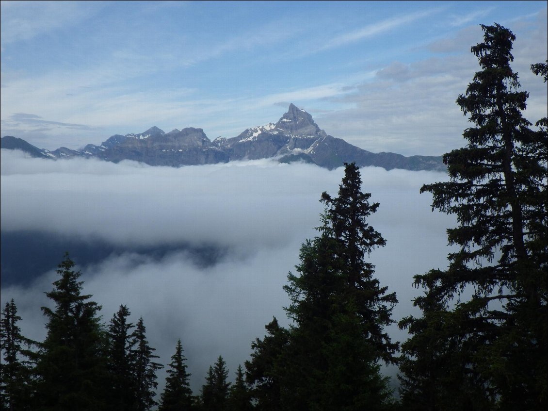 La dent du Midi