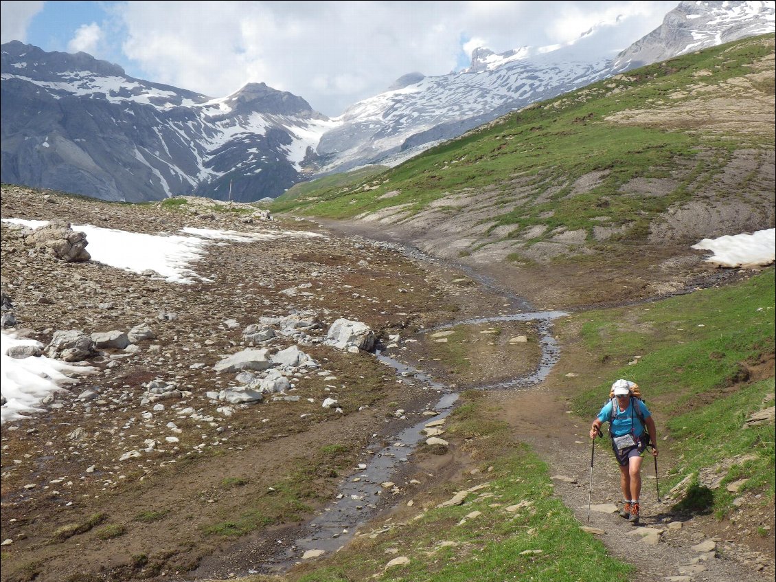 Alpages du Rawil et le Col des Eaux Froides au fond.