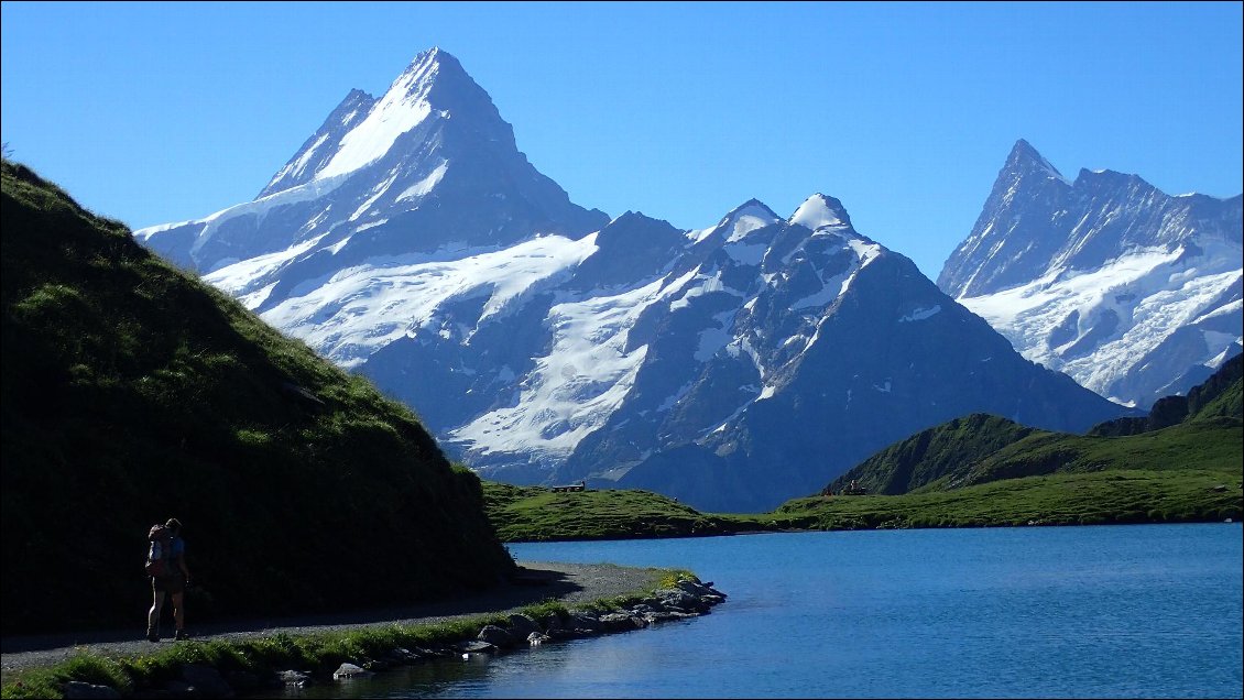 Le Schreckhorn et le Bachsee