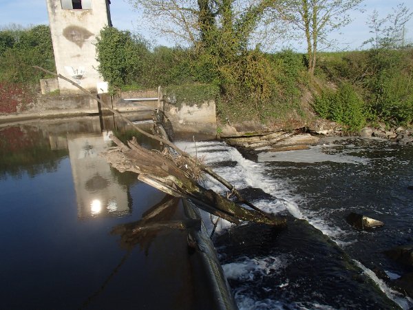 Fleurs annonce comme facile il s'avère bien dur tout seul.
La méthode . EN RIVE GAUCHE 50 m avant le barrage un débarquement est possible dans le jardin d'une maison Blanche,  le proprio sympa laisse le dernier piquet de la clôture non fixer , défaire le piquet et monter sur le talus pour un chariotage de 200 m avant une remise à l'eau chaotique  seul c'est impossible .
J'ai débarqué 150 en amont est fait le tour de la maison par les champs.