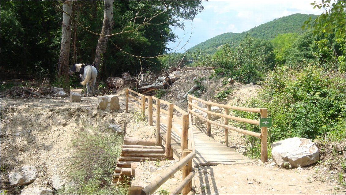 Un des inconvénients avec un cheval de bât quand c'est trop étroit. Faut débâter, faire traverser les chevaux et rebâter!