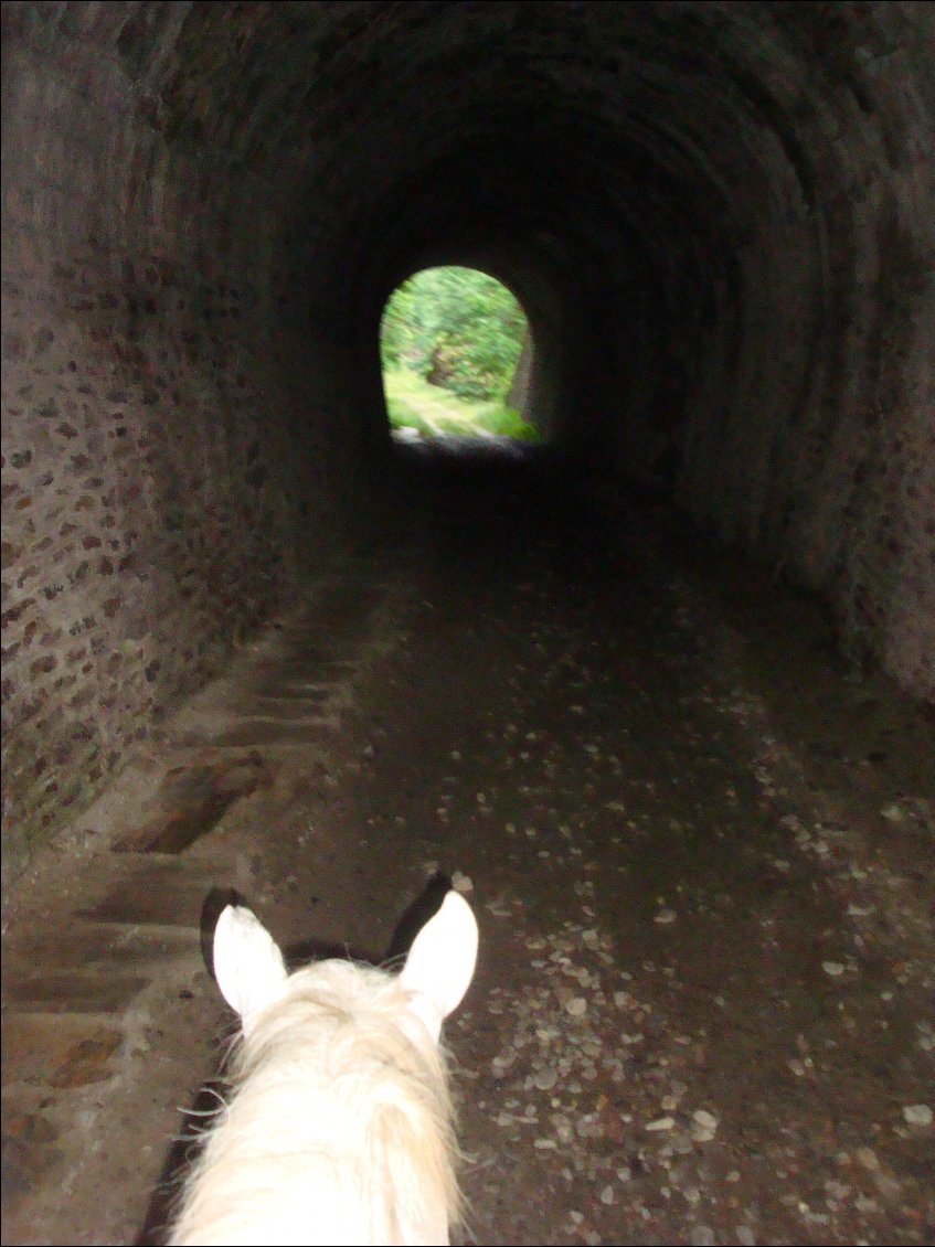 Forcément quand on suit une ancienne voie ferrée y'a des tunnels! Tchou Tchou!
