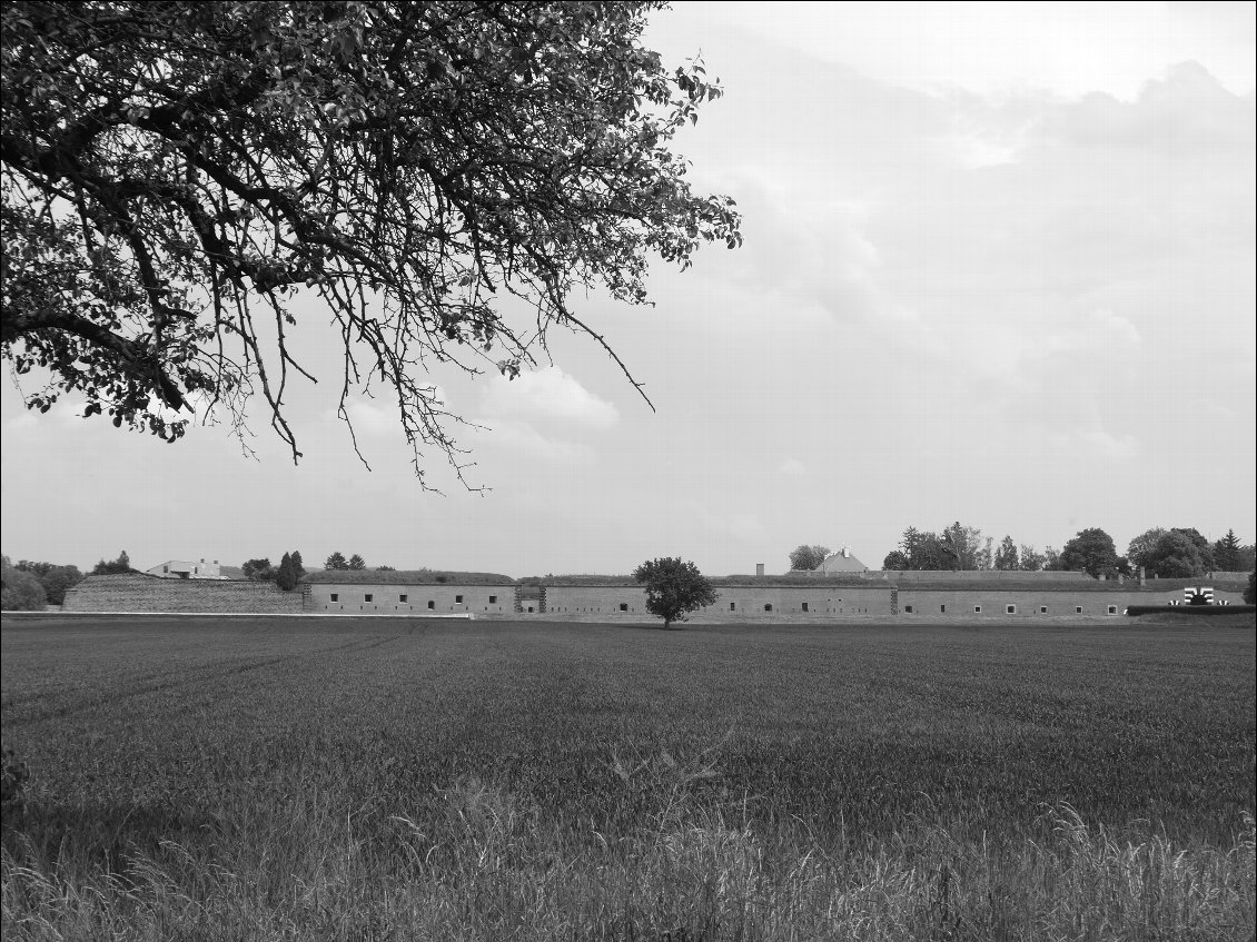 Terezin...