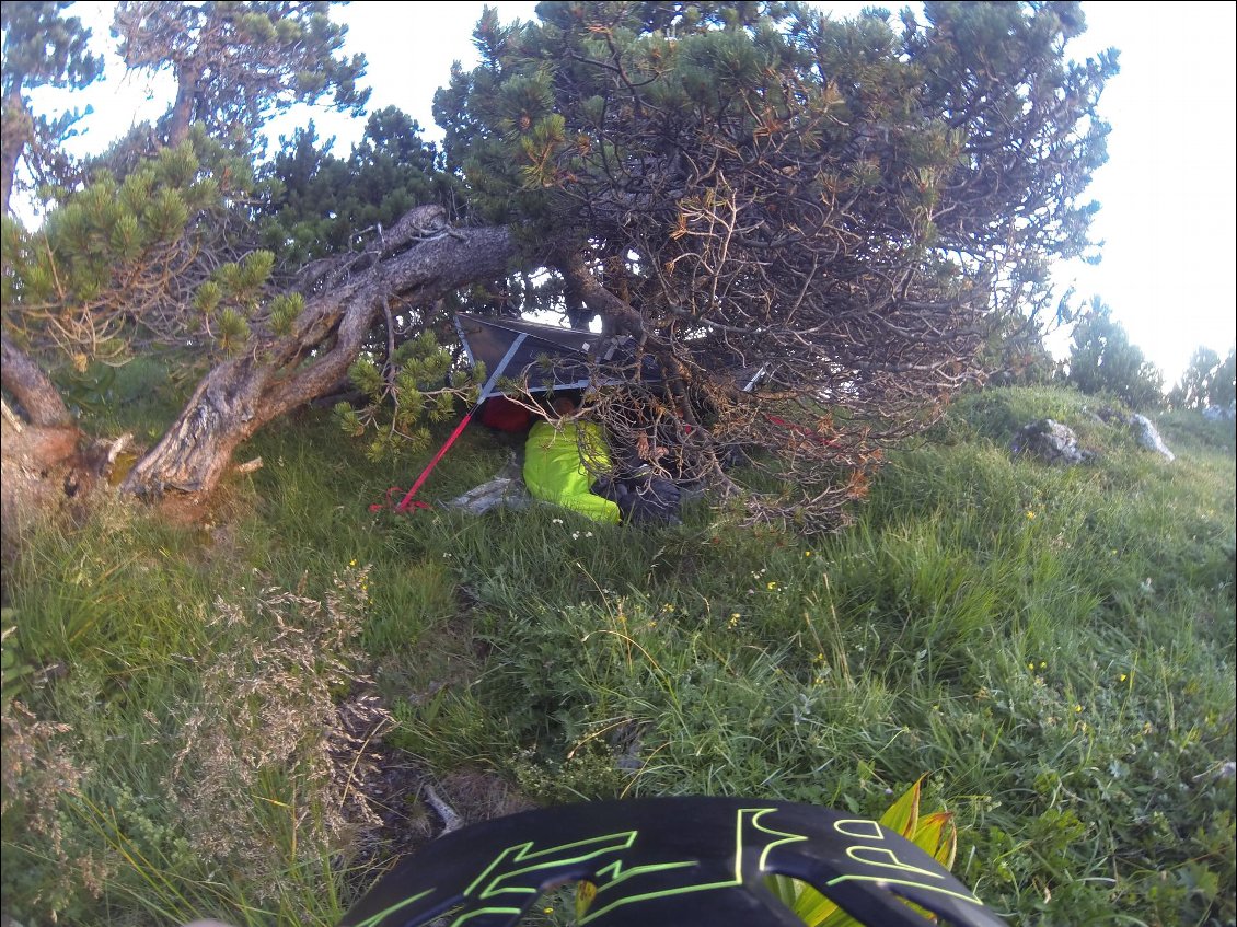 "Tony et Jules en profitent pour innover en installant leur tarp dans un sapin."