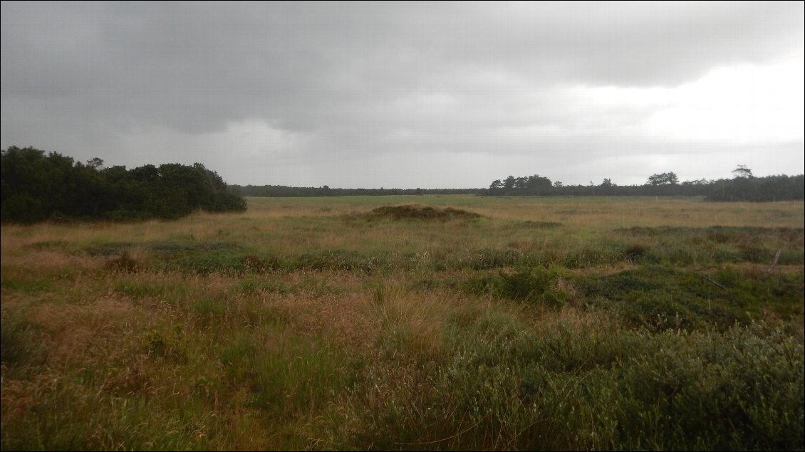 Ce n'est pas une légende la météo de la côte ouest... notamment sur l'ile de ROMO