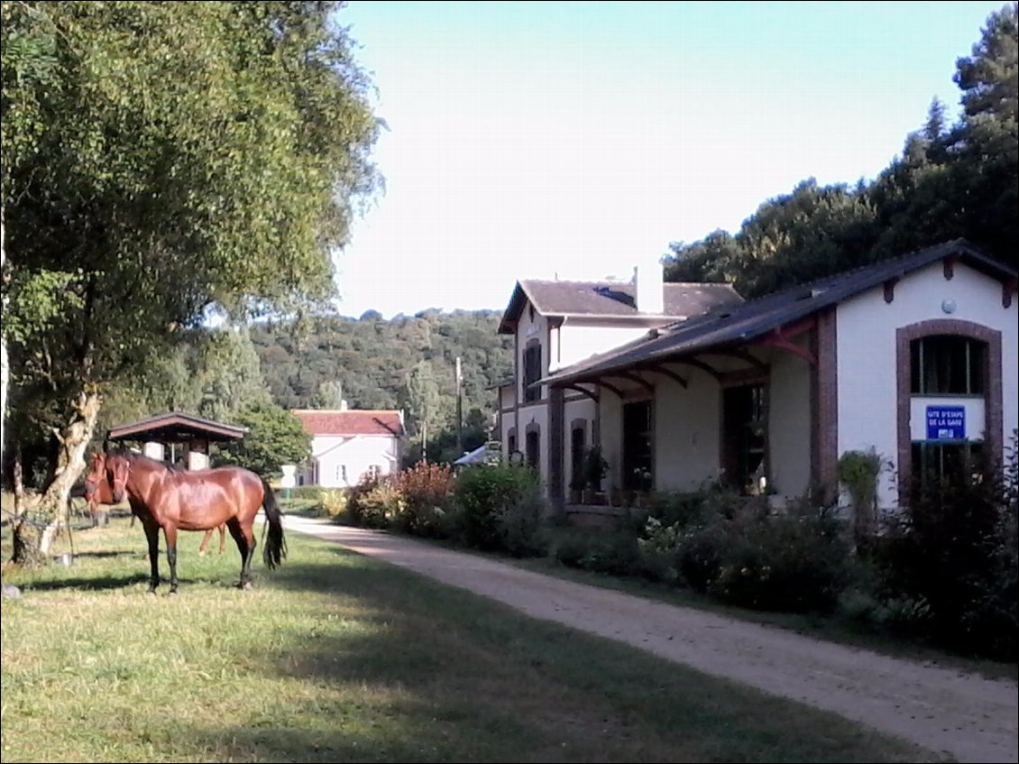 La gare de Scrignac.
En arrivant j'ai croisé une fouine ou martre sur la route. Pas farouche du tout, elle sautillait vers moi et ne s'est enfuie que lorsque j'ai mis pied à terre.